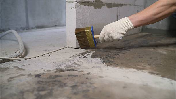 24/7 Emergency Wet Basement Repair experts in Saint Nazianz, WI